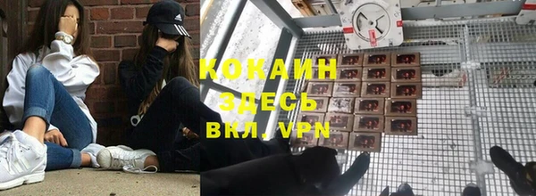 трава Сосновка